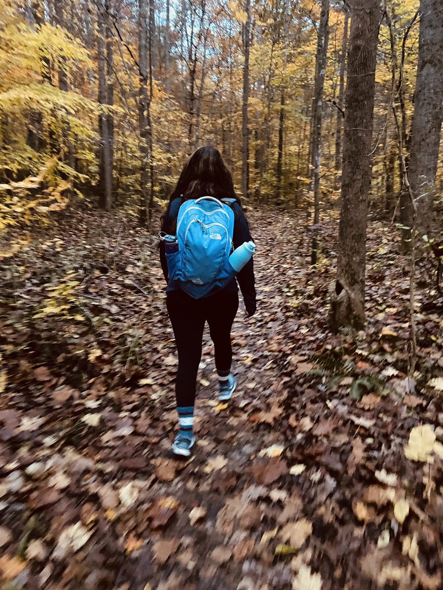 rachhtayyy's tweet photo. I do love fall 💛 https://t.co/IPcgPKZYK0
