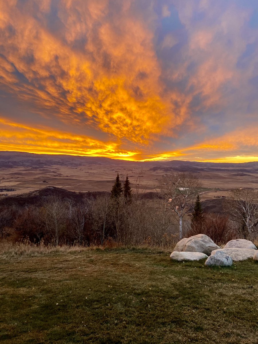 Sarah Pierce tweet media