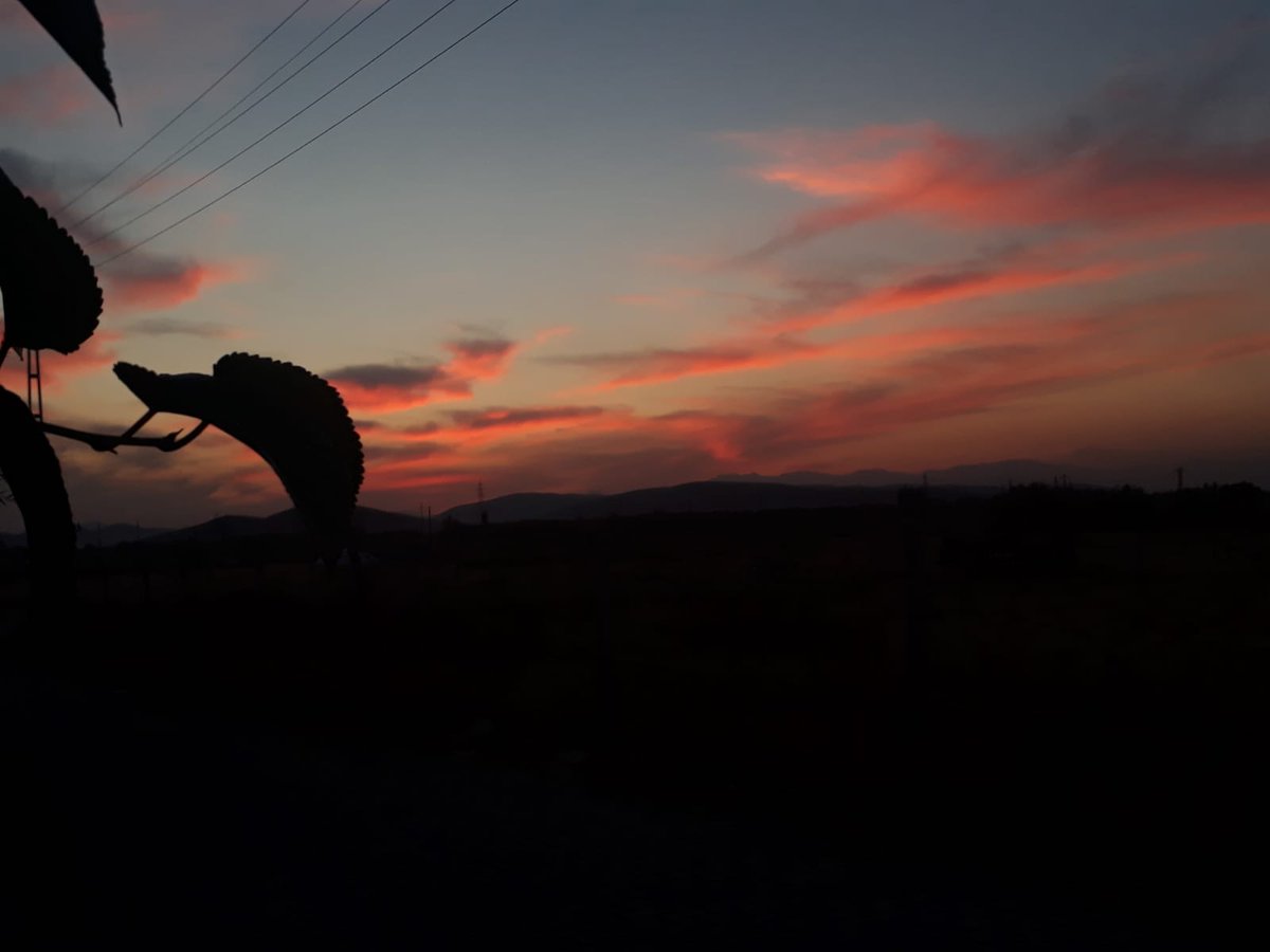 Kafamdaki sesler susarsa durup sakince düşüneceğim...
#Cumartesi #ErdoganaSesleniyoruz #Aliyev #GeceyeBirNot #günbatımı