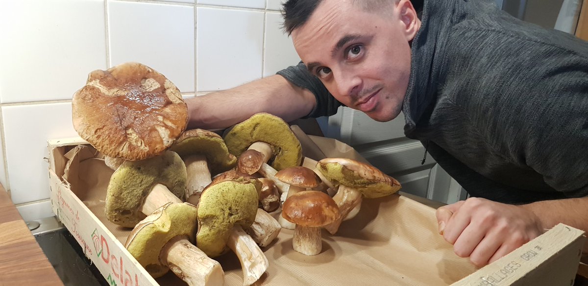 Shadow1K_'s tweet photo. Belle journée pour se balader en forêt 
Cueillette de cèpes du jour
Miam https://t.co/DuCvUIksgk