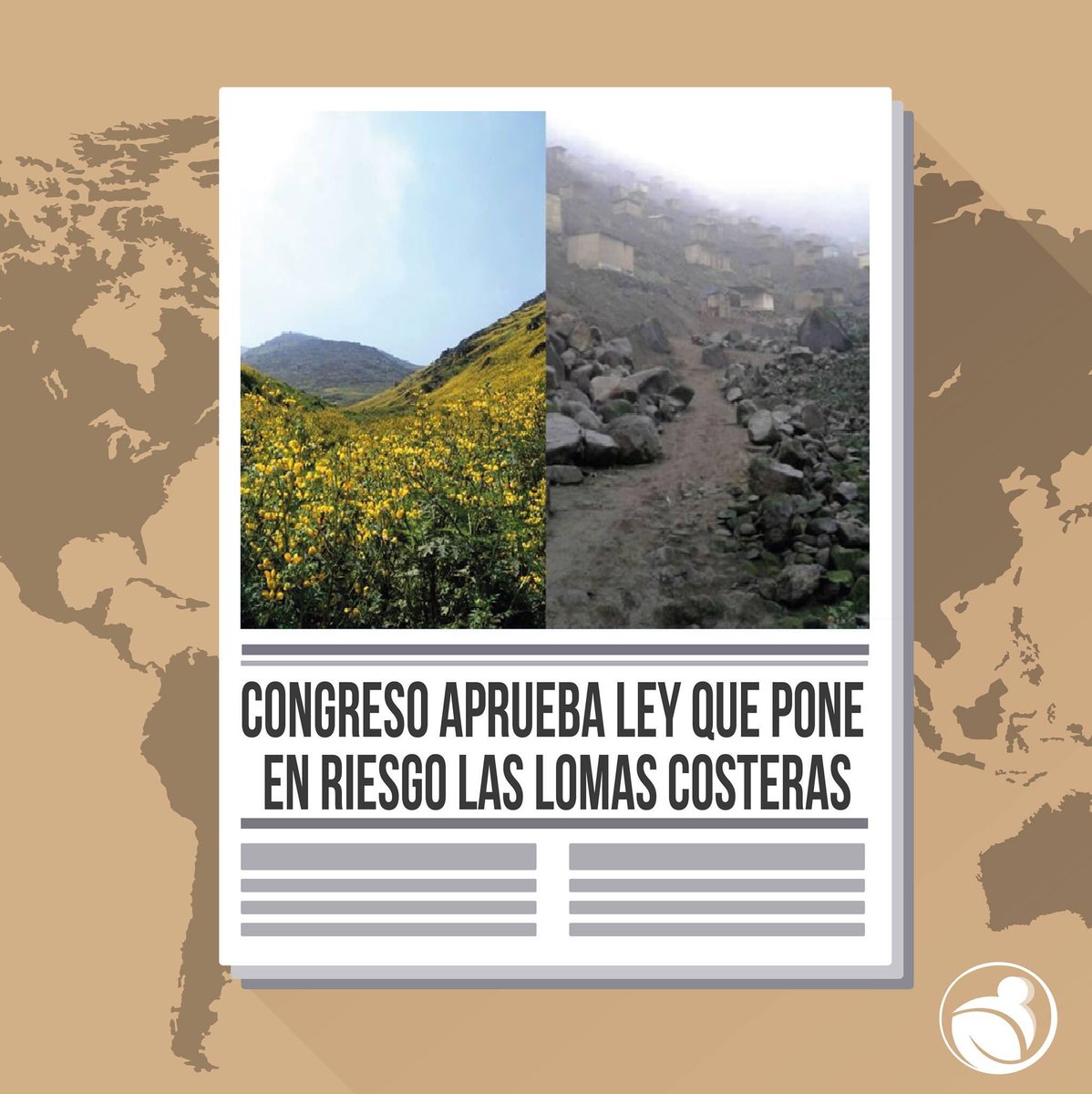 Edera_Pucp's tweet photo. [#EDERATEINFORMA]  [#lomasenriesgo]

El pasado miércoles, se publicó en El Peruano la Ley N° 31056 que amplía los plazos de la titulación de terrenos ocupados por posesiones informales y dicta medidas para la formalización. 

Para mayor información:

https://t.co/LqdqZJKYe2 https://t.co/KQwhg3dNLK