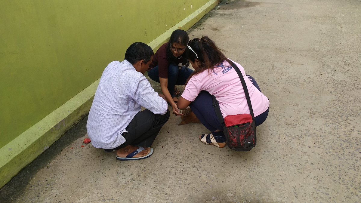 rkindiansoldier's tweet photo. #PeopleForAnimalOdisha 🐕
"There is nothing Truer in this world than the LovE ❤️ of A #Good_DoG".
The eye struck moment for team #PFAO when they saw a badly Head Injured stray Animal. It was so badly injured that without any late da treatment was done imdtly.
#PFAO_HHRC https://t.co/RnuFTliDfa