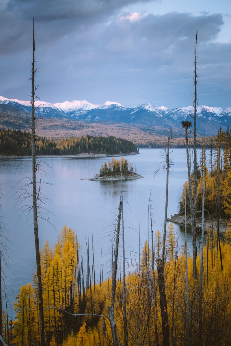 petenathanson's tweet photo. winter is strengthening its hold and slowly taking over the fall colors - one of my favorite times, though it is short-lived. https://t.co/9GMbk0R2ou