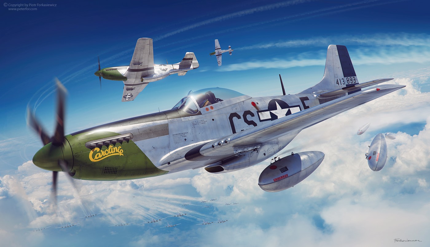 The Aviation Art on X: P-51 Mustang Caroline (s/n 44-13893) of