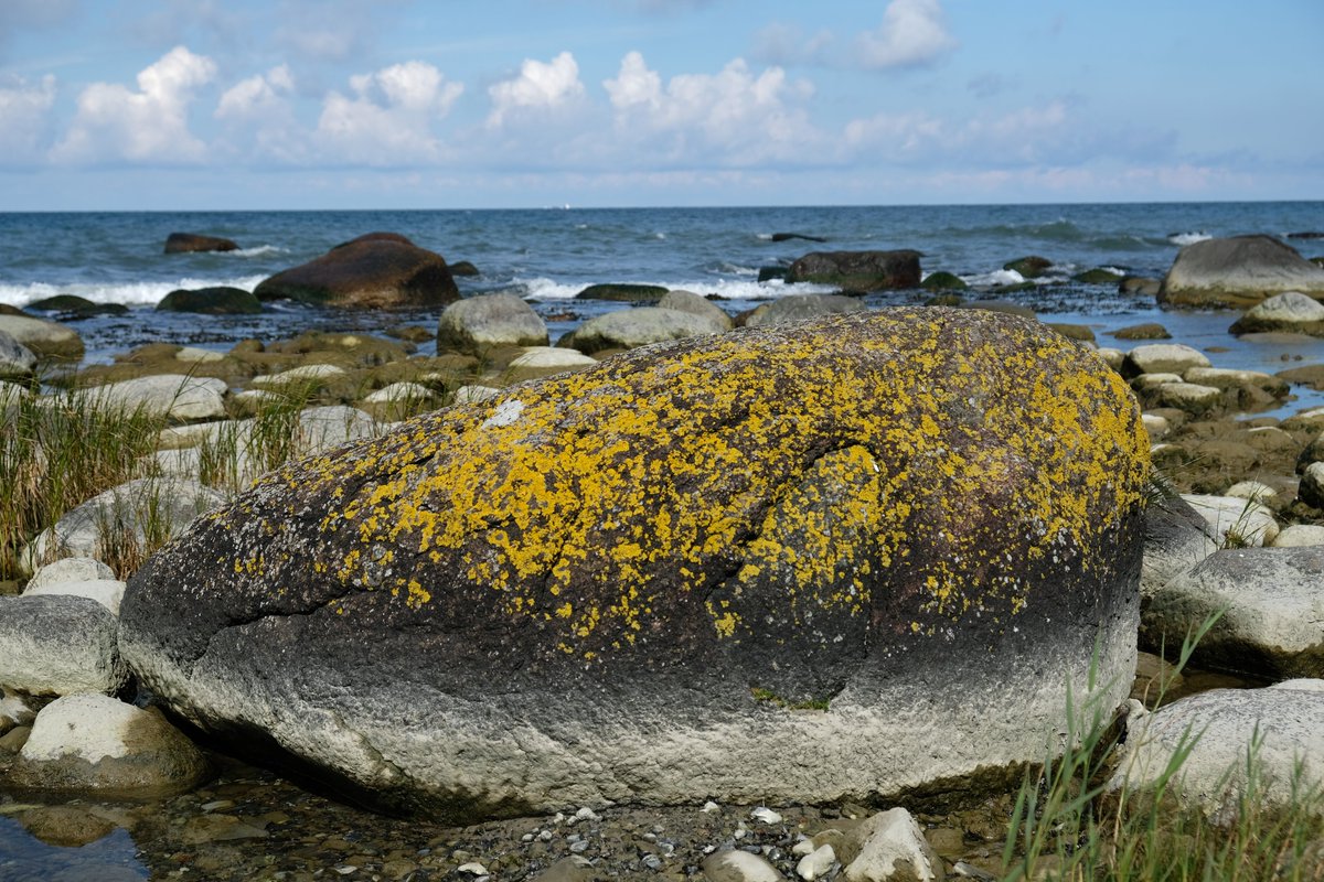Kap Arkona, Rügen. Foto: Wittwer #photos #fotografia #fotografie #ostfrieslandfotos #heimat #picture #PictureOfTheDay #NaturePhotograph #water #naturephotographyday #NaturePhotograph link: https://t.co/UOdwXcob18 https://t.co/URm4sZ9y2g