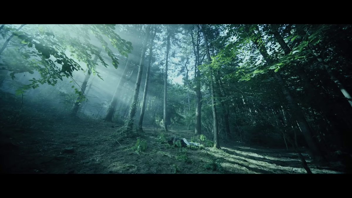 first couple of seconds we spend zooming into a really wide shot of the forest, & even though there's a lotta sunlight filtering through the tree cover, the dark color palette of the shot & the way it's all focused on a seemingly dead figure and the part of the forest that's-