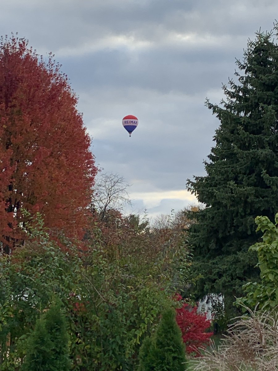 gsonntag's tweet photo. Hey @remax, nice advertising!
#inmybackyard
#notwhatiwasexpecting
#remax https://t.co/sfJC9H3EoN