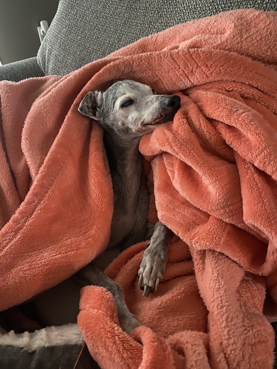 Charity Fitzgerald tweet media