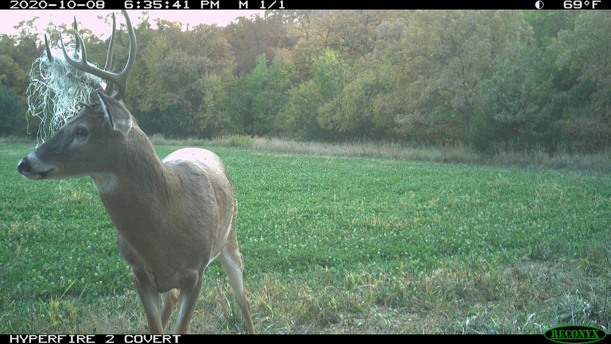 Drury Outdoors 🦌 tweet media