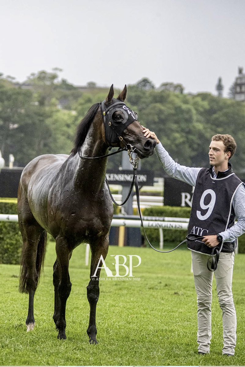 Johnny McKeever tweet media