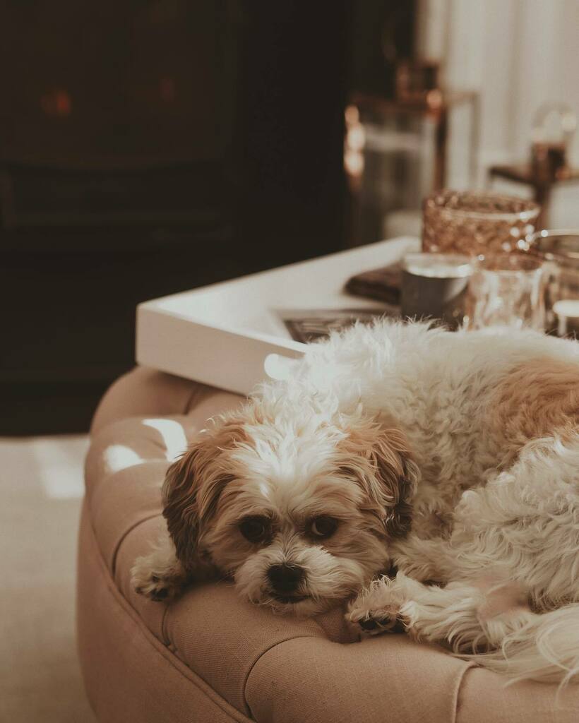 New Instagram Post....