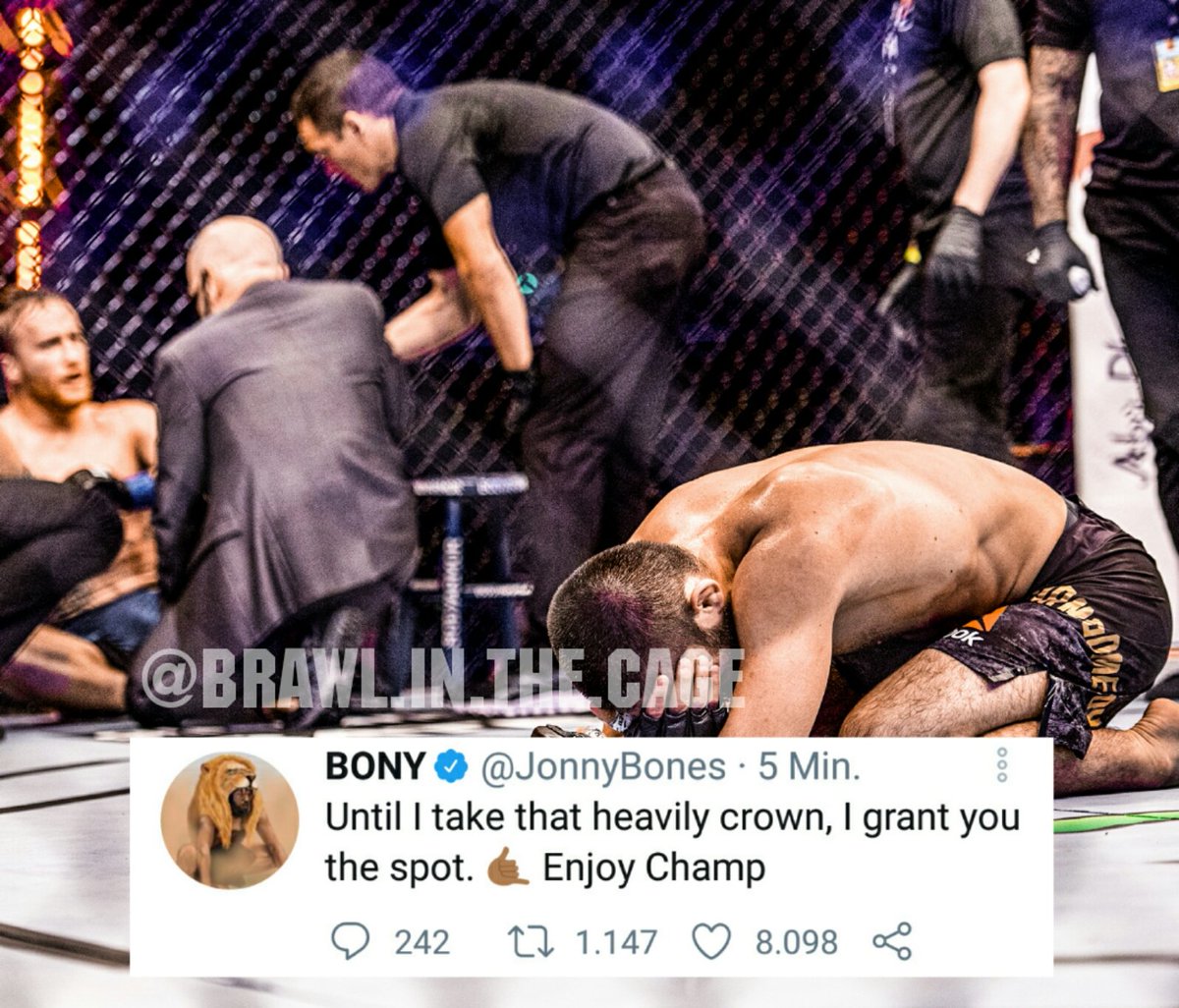 Brawl in the Cage tweet media