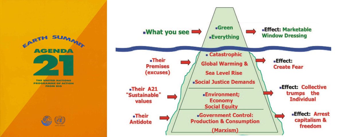 Climate - as in Global Warming has been the basis excuse for  @billgates and  @wef for everything - but its just taking too long... /21