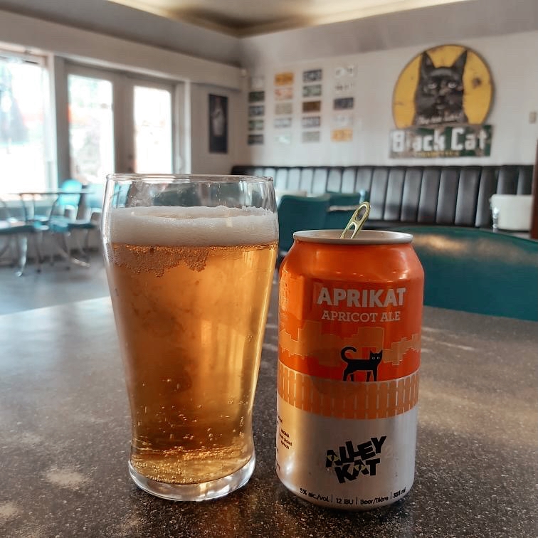 alley_kat_beer's tweet photo. Check out Aprikat on tap at @DinerDeluxe ! Perfect brunch beer!
#abbeerweek #alleykat #aprikat https://t.co/omvgwZ8T2O