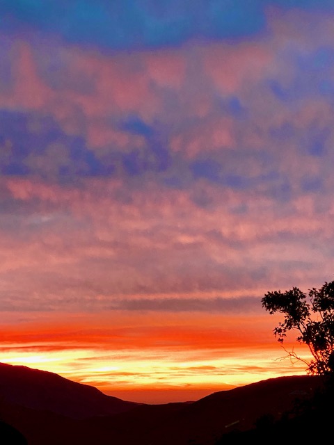 Inner North Star tweet media