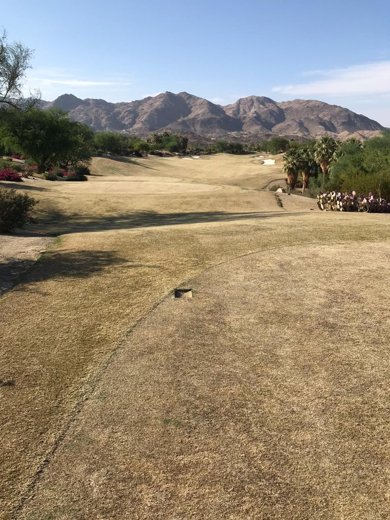 Only 12 days later; overseeding at Bighorn is looking awesome. You’re the man brother. So proud of you Nacho. #PuroSolis #MexICan #BighornGolf #Overseeding #2020