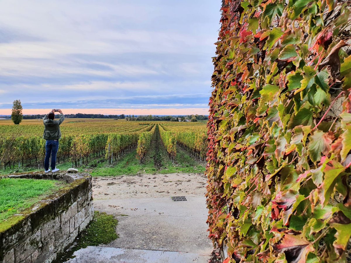 t_lay10's tweet photo. Le paradis 🥰🍇 @RocdeCalon 
#rocdecalon https://t.co/2seP8fQPuF