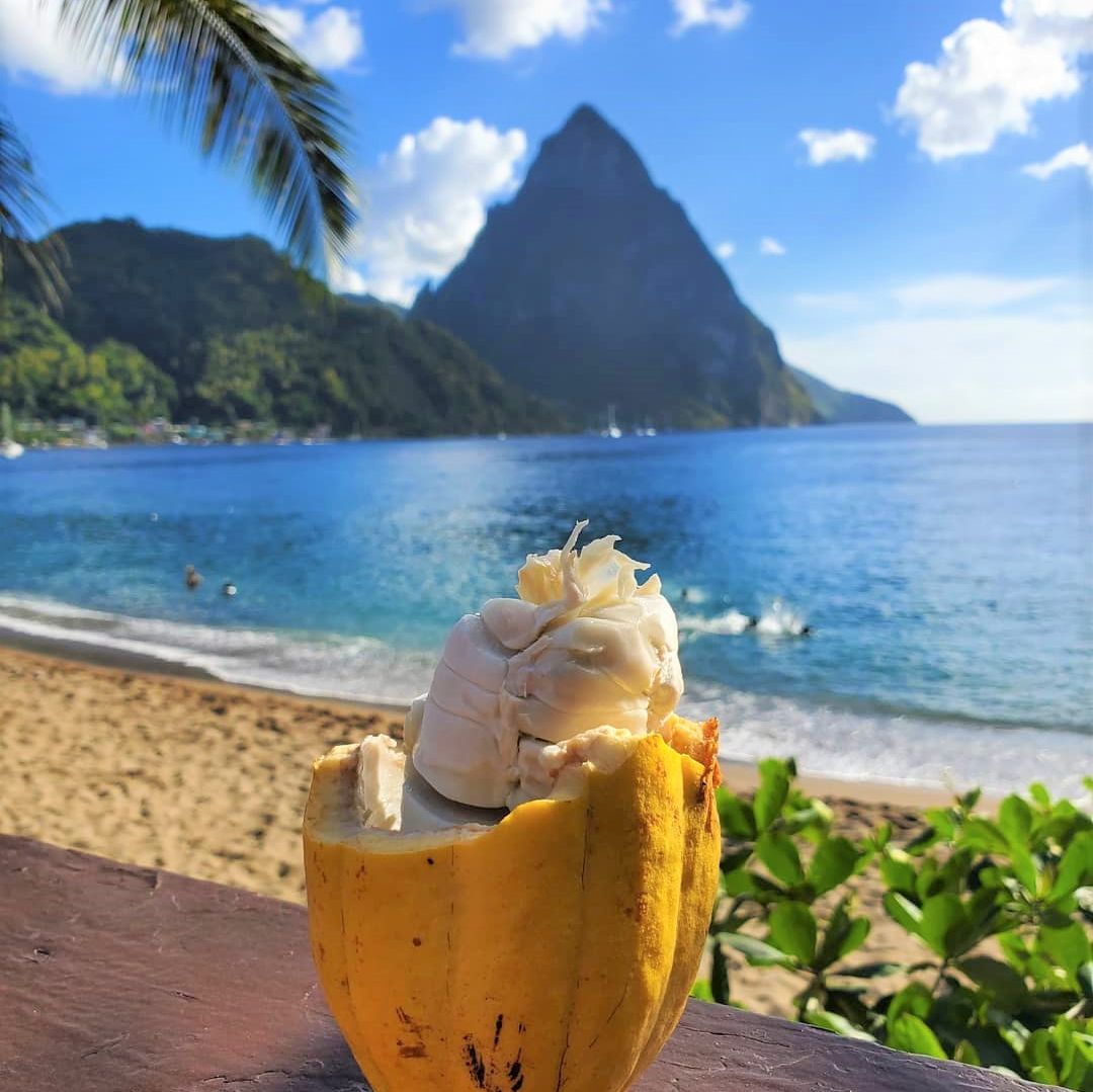 PleasantHoliday's tweet image. Starting the day like 😌 #SaturdayVibes 
📸: @tags4jags 
📍: Soufrière, Saint Lucia