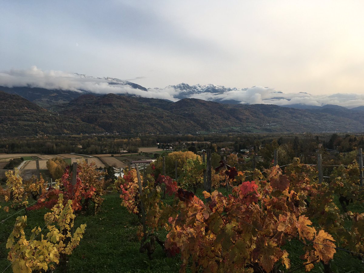 debrayf's tweet photo. Cette vue sur la vallée du Grésivaudan. 🤗😎 #jadoremaregion #gresivaudan https://t.co/ryAuBWjmpx