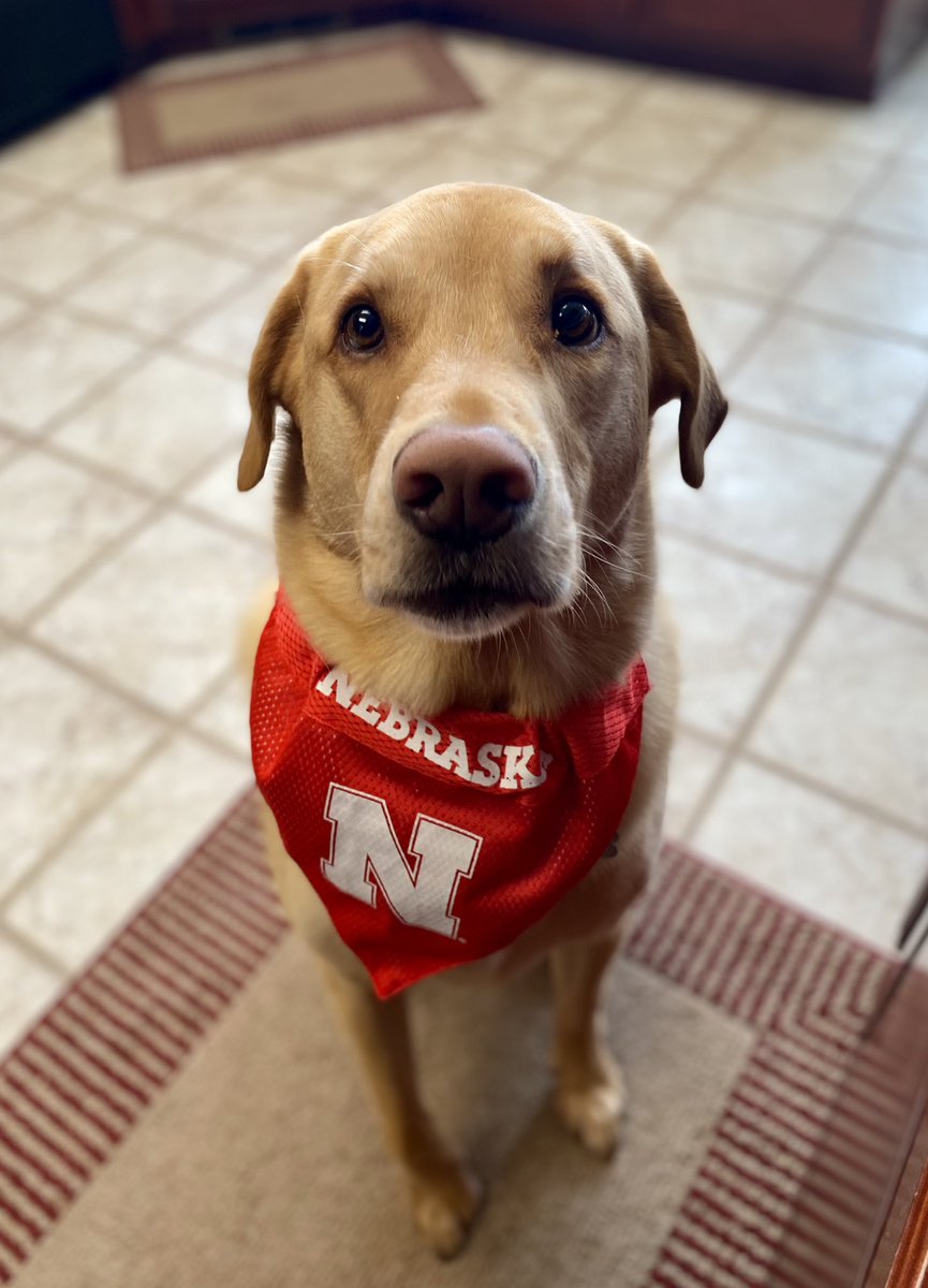 cooper_joerger's tweet photo. GO BIG RED! ❤️ https://t.co/Y1IsX1vlEp