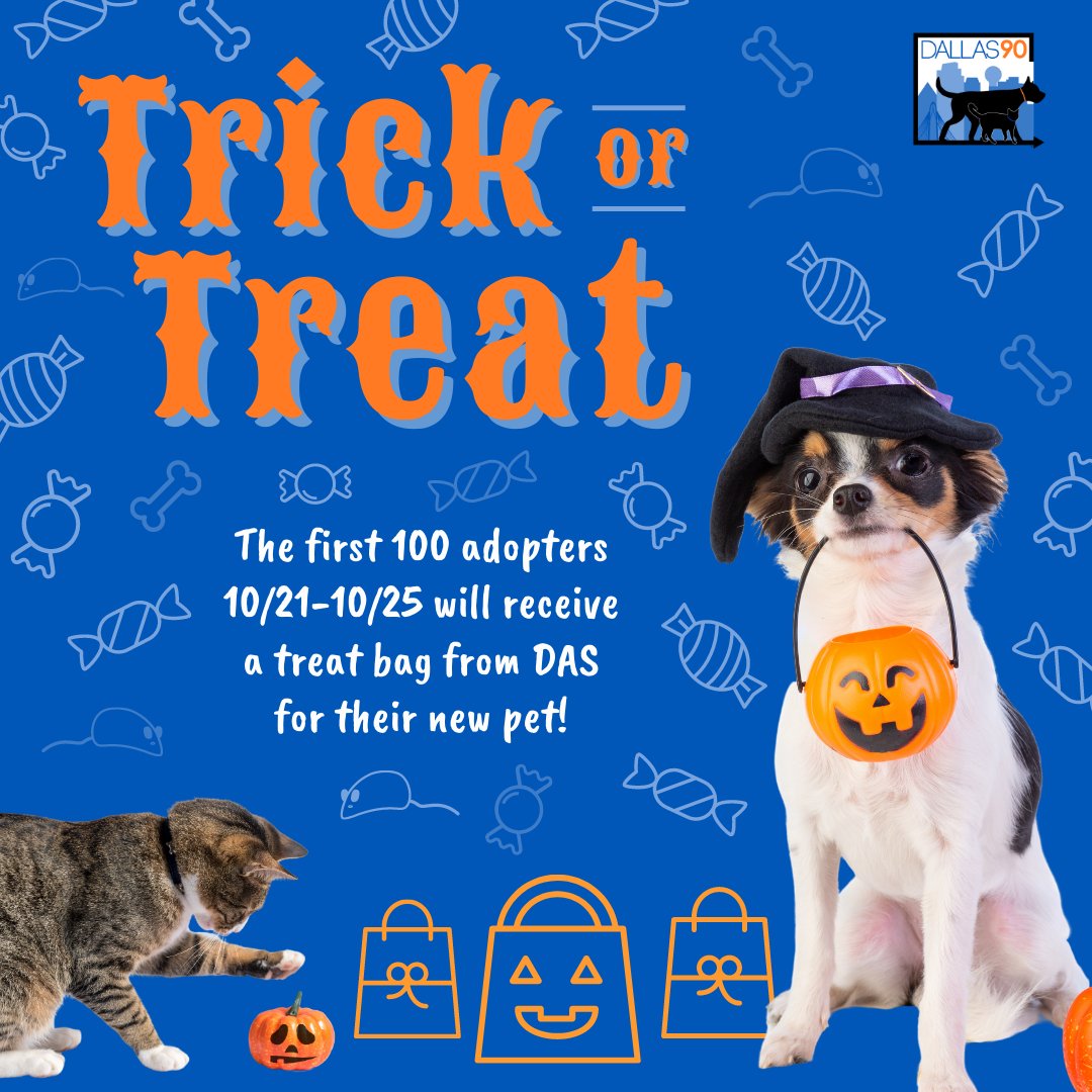 DallasShelter's tweet photo. TRICK OR TREAT.... or maybe just treat? π πΆ There are still plenty of treats left at DAS. Adopt this weekend and receive a little treat bag to take home with your new best friend! See who's available and adopt online today at https://t.co/4tPgHSNvbE. #BeDallas90 #AdoptDAS https://t.co/J5IqGFaMxt