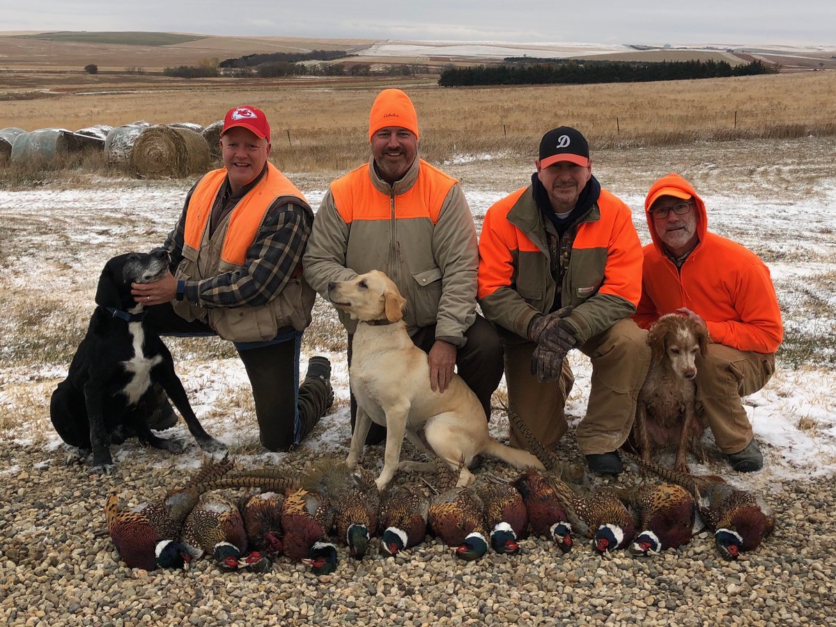 DanHess25's tweet photo. 10 years of hunting pheasants in South Dakota! #roosterkillers https://t.co/N0wZ6qKreg