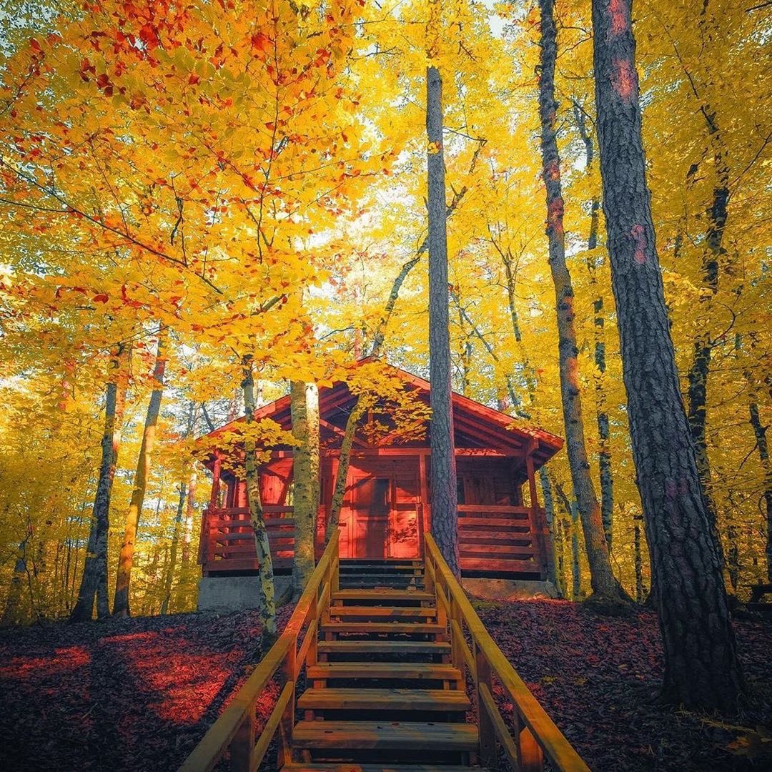 yapilacakIar's tweet photo. Bolu, Yedigöller’de bungalov evlerde kal. https://t.co/i78SjUFDxQ