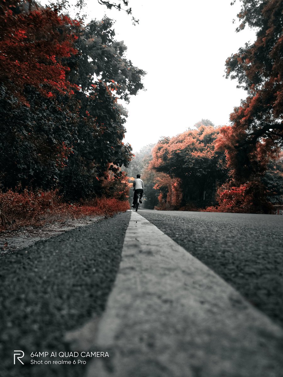 pixelsbyrishav's tweet image. Autumn vibes 🍁

#shotonrealme #realme6pro @realmemobiles @MadhavSheth1 @NeonVikash @nidhi_bhatia @FrancisRealme