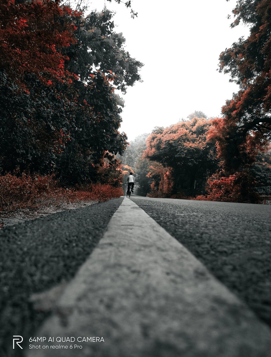 pixelsbyrishav's tweet image. Autumn vibes 🍁

#shotonrealme #realme6pro @realmemobiles @MadhavSheth1 @NeonVikash @nidhi_bhatia @FrancisRealme