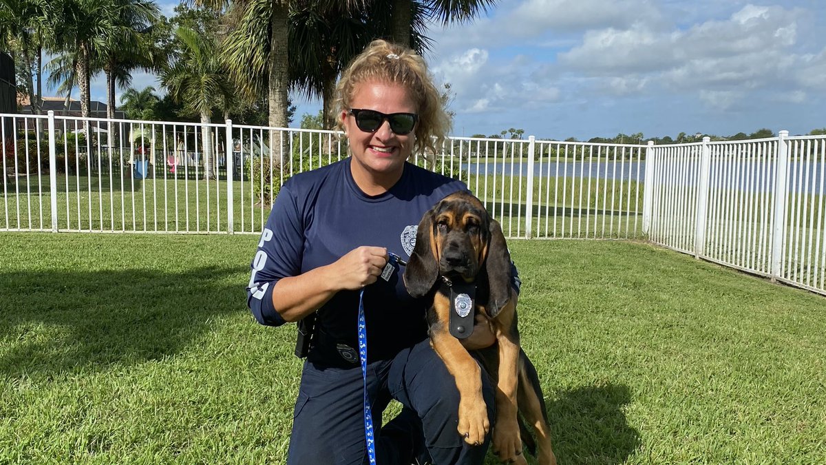 West Palm PD (@westpalmpd) on Twitter photo Well it’s official! Our newest K9 donated by the <a href="/JimmyRyceCenter/">Jimmy Ryce Center</a> has officially been named Moose. Thank you everyone for all the great name ideas. We will keep you posted when Moose makes his first public appearance at @rosemarysquare in @westpalmbch #WestPalmBeach #missing Well it’s official! Our newest K9 donated by the <a href="/JimmyRyceCenter/">Jimmy Ryce Center</a> has officially been named Moose. Thank you everyone for all the great name ideas. We will keep you posted when Moose makes his first public appearance at @rosemarysquare in @westpalmbch #WestPalmBeach #missing
