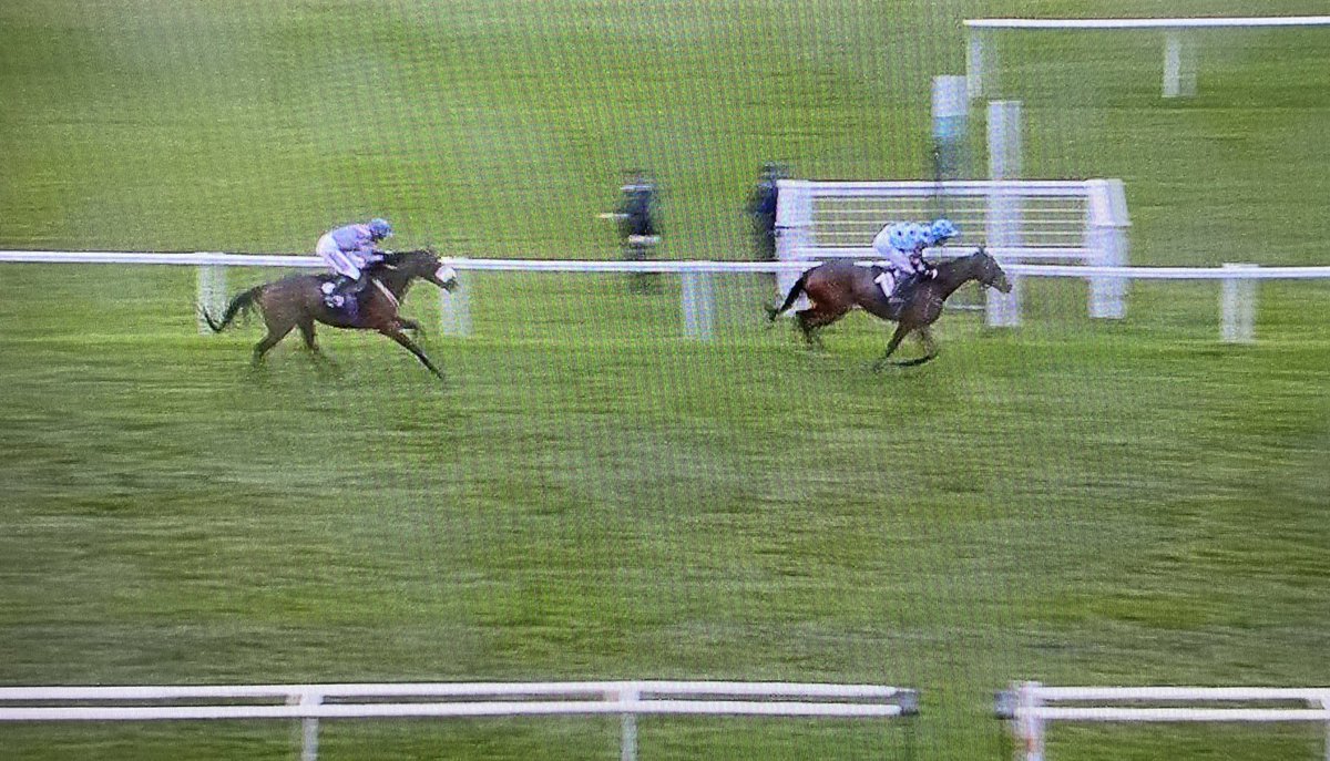 amajox's tweet photo. Congrats @amajox @RossBirkett WINS #Worthingtons @NewburyRacing #Harmonise 🎶 @TheSheenaWest #14ran now leads gents in championship battle!  #topride #topjock 🏆👍🏇🥂👏👏👏👏👏 https://t.co/lQkcLwbSqH