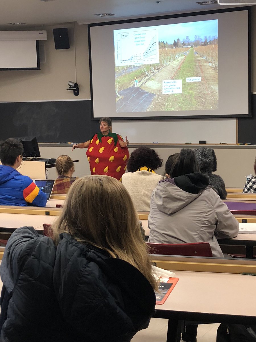 berriesGood4U's tweet photo. @OregonGovBrown Iโll miss teaching my students in person @CASResearch_OSU this Halloween ๐ My ๐costume is always a hit ๐ #spookyandsafe Representing Oregonโs awesome berry industry https://t.co/Sb9yaPoY47