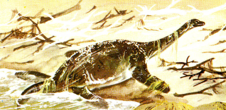 Ranaroth2's tweet photo. Cryptoclidus. Middle Jurassic ~166–160 million years. Member of the order plesiosaur. Marine reptiles. Art by Maurice Wilson. #cigarettecard #MauriceWilson #Cryptoclidus #plesiosaur https://t.co/Ax32w17vgT