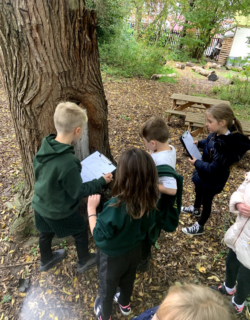 MissRosewell's tweet photo. For science yesterday we went to the outdoor learning area to research habitats. We were very excited to find a toad snuggled up in a tree! #MakeLearningFun #BayTeam @GreenwaysPri https://t.co/3ck7tTUTiO