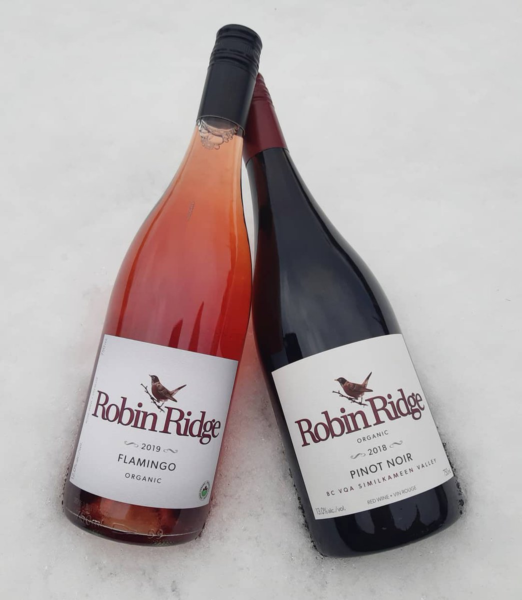 Do you want to build a snowman? ☃️ Come on in to the tasting room to warm up after all your snow-filled adventures!
Visit us in the tasting room from 10-5:30, or shop online at robinridgewinery.com