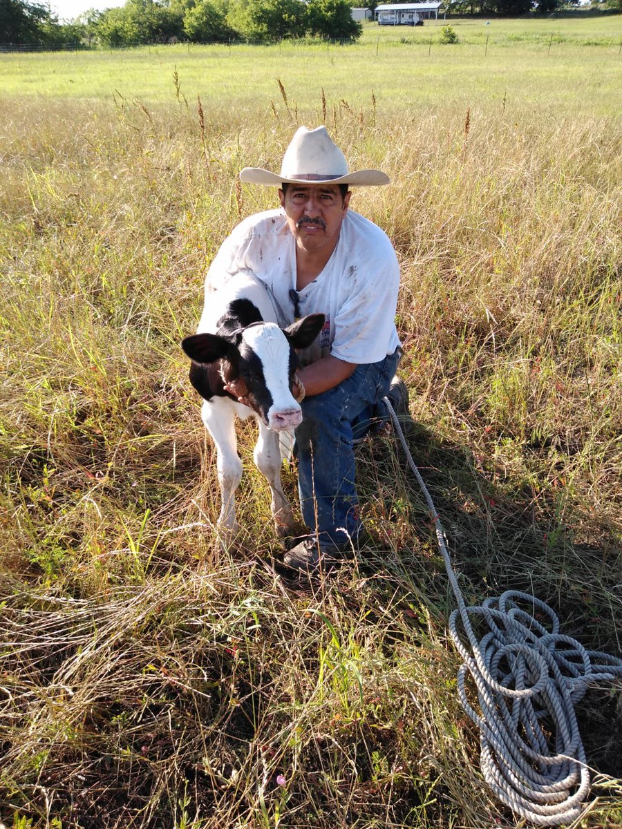 PlRATEPURP's tweet photo. My dad was finally able to make his dream come true of owning his own ranch and he’s the happiest he’s ever been! https://t.co/C7PihZP3LO