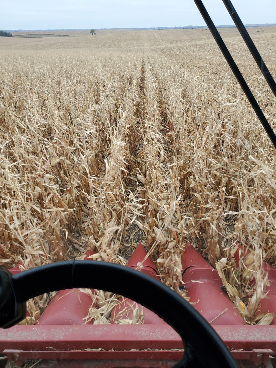 moparmatt01's tweet photo. @Huskers https://t.co/pH1aM3vYVU