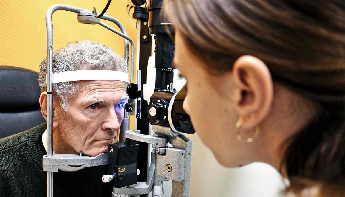 incluyo's tweet photo. Therapy restores vision in mice with retina disease - Futurity https://t.co/6F60ykuxWV https://t.co/5rPn2bCHBl