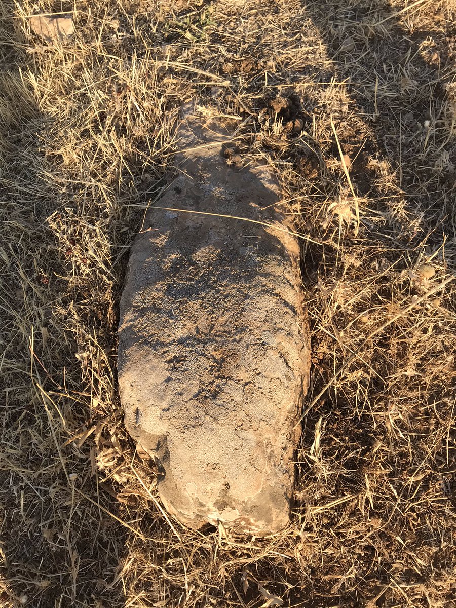 KesfetV's tweet photo. Viranşehir/Eski Kale Köyü-Sefer Tepe:Viranşehir’in yeraltında keşfedilmeyi bekleyen hazinesi. Tarihin en uzak, en eski,sıfır noktası Göbeklitepe’nin çağdaşı, hemşehrisi. 
#ViranşehirSeferTepe #GöbekliTepe #KarahanTepe #HarbetSuvan #KarahanTepe #HamzanTepe #SeferTepe #Şanlıurfa https://t.co/OX3JY05CKD