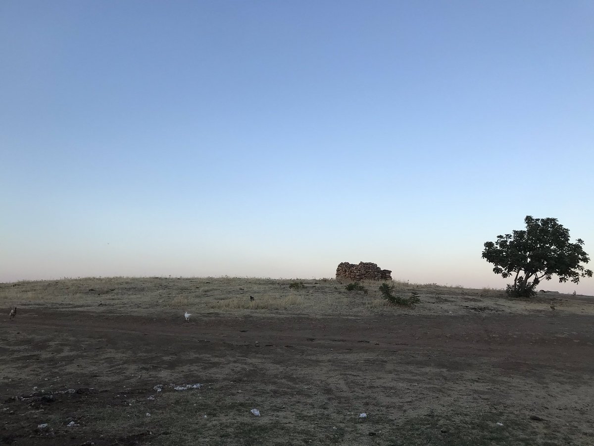 KesfetV's tweet photo. Viranşehir/Eski Kale Köyü-Sefer Tepe:Viranşehir’in yeraltında keşfedilmeyi bekleyen hazinesi. Tarihin en uzak, en eski,sıfır noktası Göbeklitepe’nin çağdaşı, hemşehrisi. 
#ViranşehirSeferTepe #GöbekliTepe #KarahanTepe #HarbetSuvan #KarahanTepe #HamzanTepe #SeferTepe #Şanlıurfa https://t.co/OX3JY05CKD