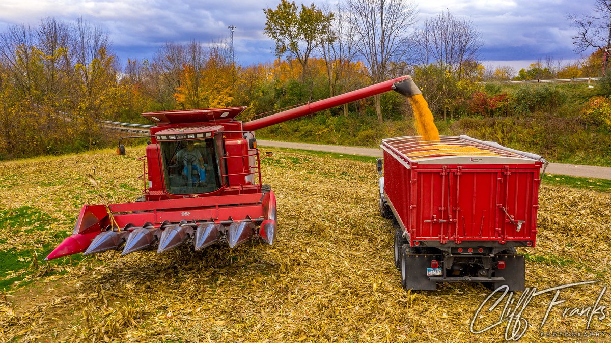 buckeyedrone's tweet photo. Oser Farm | Corn Harvest 2020 | Canal Fulton, Ohio USA

#CowFeed #Corn #ForageHarvester #Cattle #choppingcorn #StarkCounty #Cattle #Farm #CanalFulton #HeartStark #BuckeyeDrone #DJI #Clifffranks #DJIInspire2 #agricultural #Case #Case2388 https://t.co/vet83BHZFI