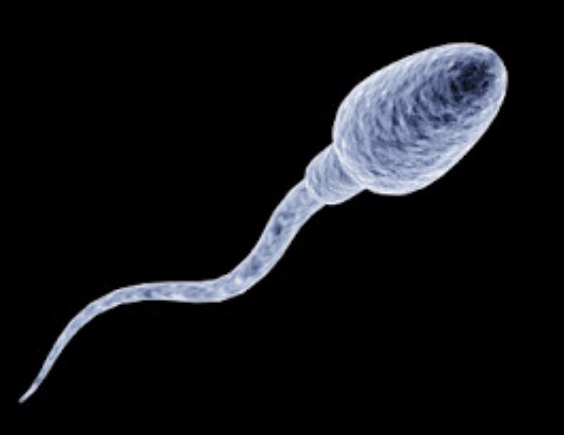 JuliaFridvall's tweet photo. sjukt, hittade den sista bilden som togs på mig innan jag drabbades av ångest. Those were the days :’) https://t.co/PCYeYLSajG