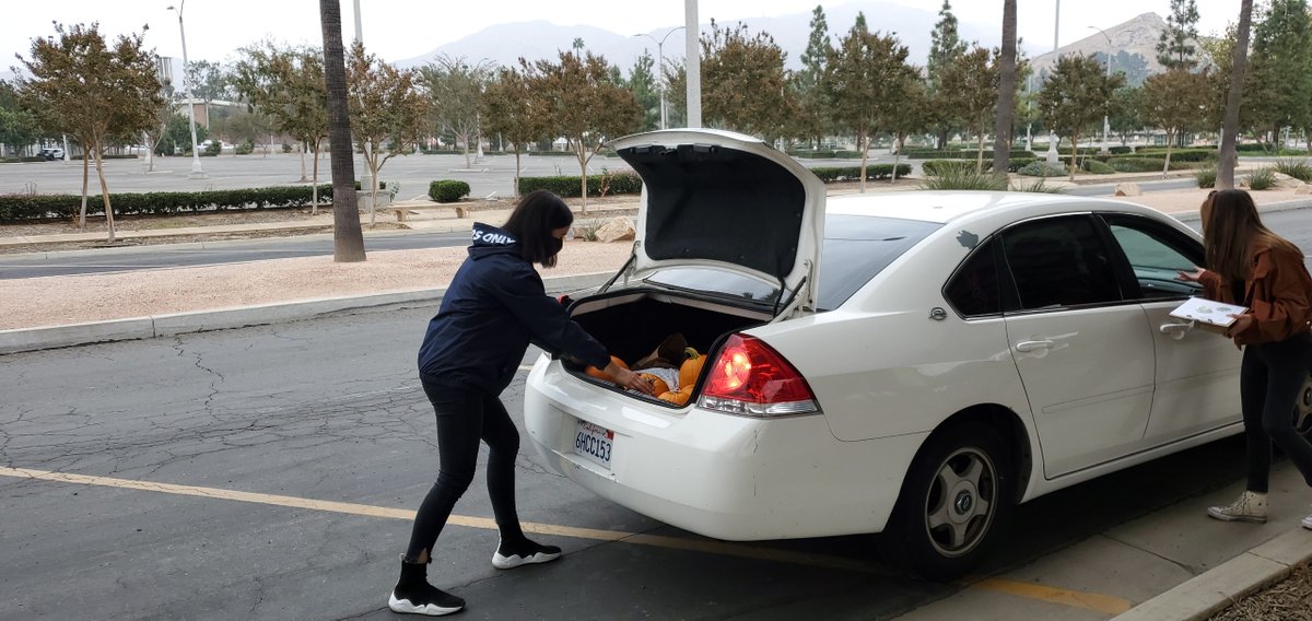 Happening now 🎃🎃⬇️UCR-grown pumpkins for sale in Lot 30. Come out to support the UCR Gardening Club. Small and large pumpkins ($5/$10) available until 4 p.m. or until supplies last.
