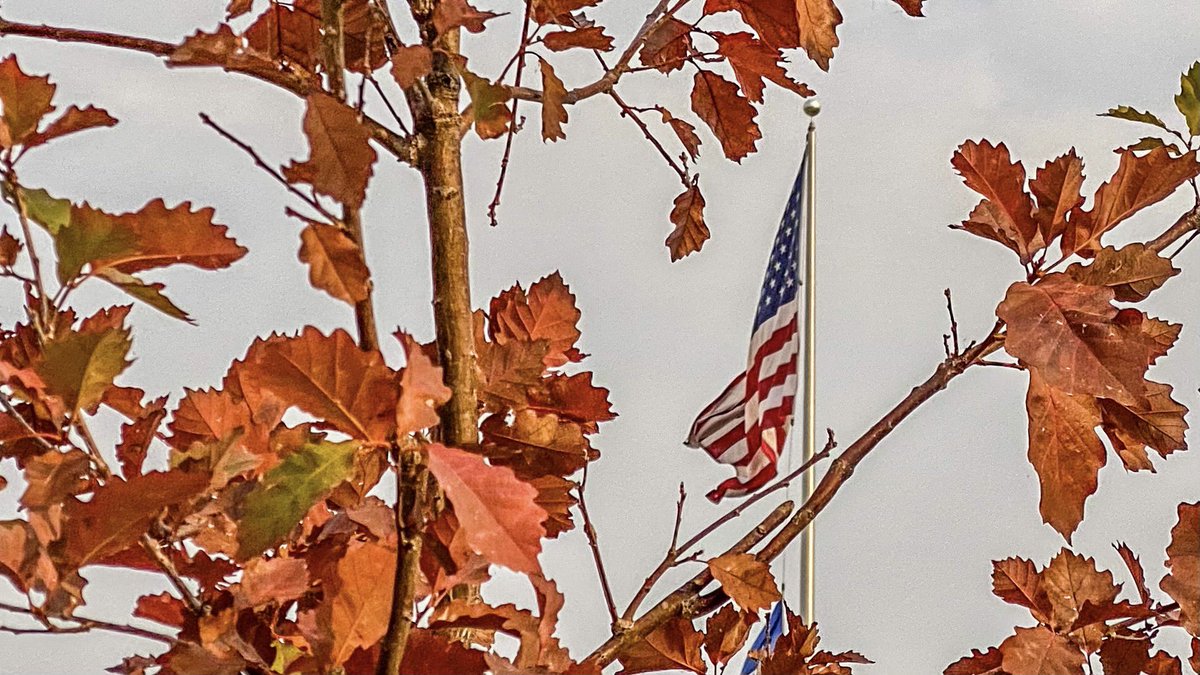 jackbenzel's tweet image. #vote #vote2020 #voteforallofus