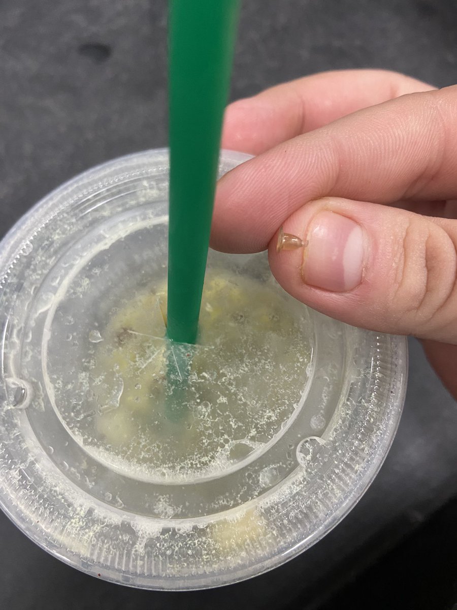 Lillierox's tweet photo. Guess who found someone’s earring back in their @Starbucks  drink? Me...and the Starbucks refused to do anything about it https://t.co/daFUlu0M3n
