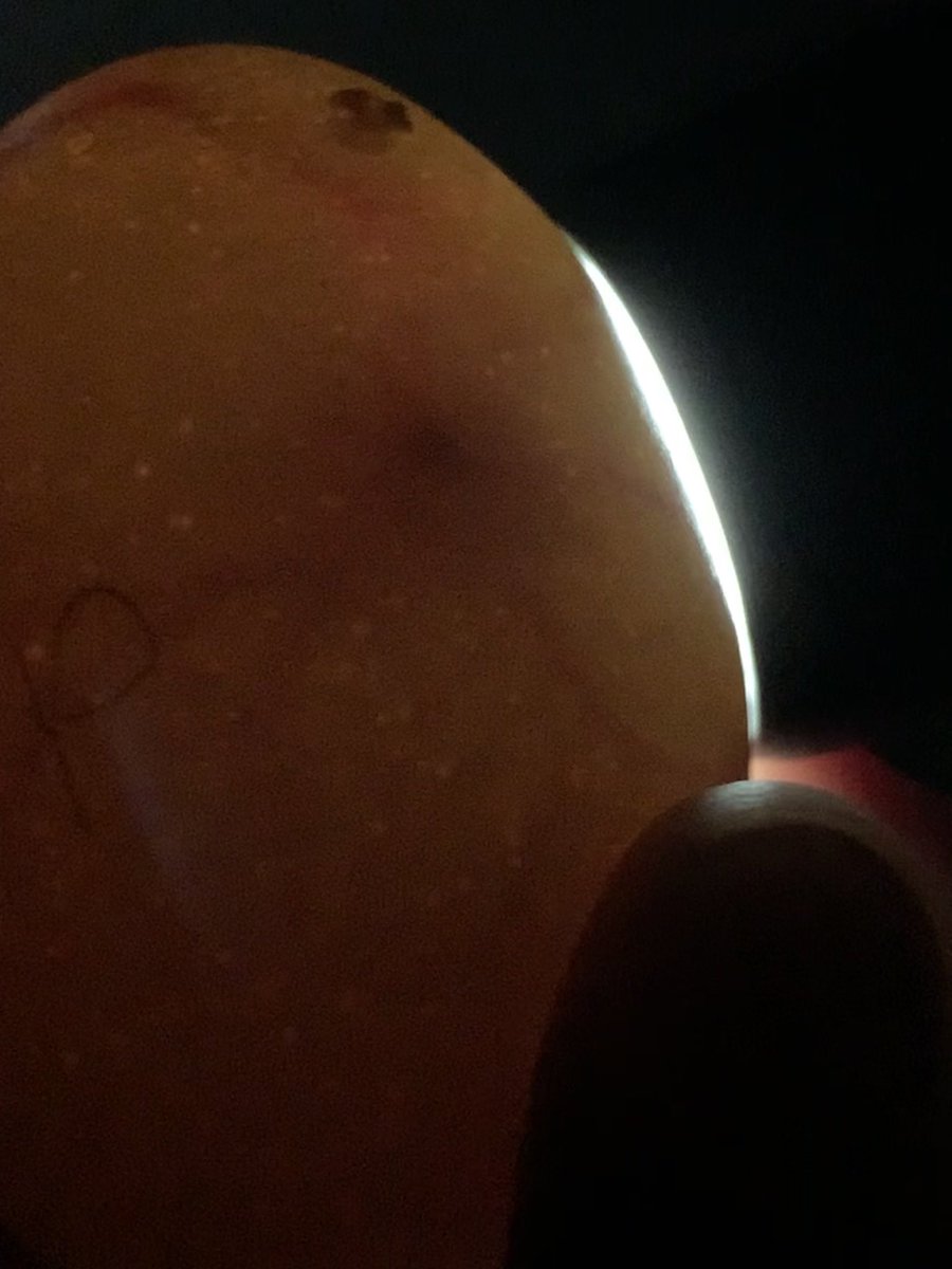 TOHS_CareerEdu's tweet photo. When your 3rd grader misses out on raising chicks in class, you try it at home. Out first batch was unsuccessful, hoping our eggs hatch. Thank you @PNathan4Kids for loaning us your incubator 🐣 #momscience #eggcandeling #sciencejournals #teacherkid https://t.co/T9hfQCxEQL