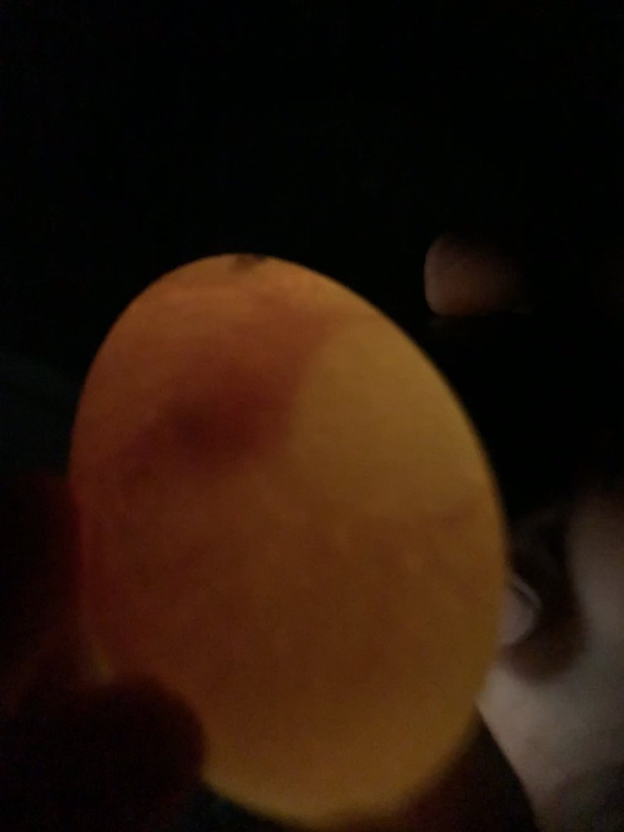 TOHS_CareerEdu's tweet photo. When your 3rd grader misses out on raising chicks in class, you try it at home. Out first batch was unsuccessful, hoping our eggs hatch. Thank you @PNathan4Kids for loaning us your incubator 🐣 #momscience #eggcandeling #sciencejournals #teacherkid https://t.co/T9hfQCxEQL