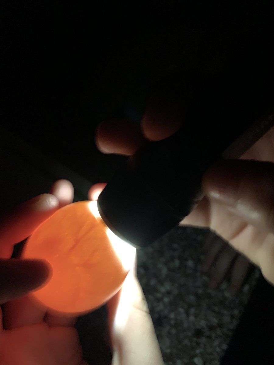 TOHS_CareerEdu's tweet photo. When your 3rd grader misses out on raising chicks in class, you try it at home. Out first batch was unsuccessful, hoping our eggs hatch. Thank you @PNathan4Kids for loaning us your incubator 🐣 #momscience #eggcandeling #sciencejournals #teacherkid https://t.co/T9hfQCxEQL