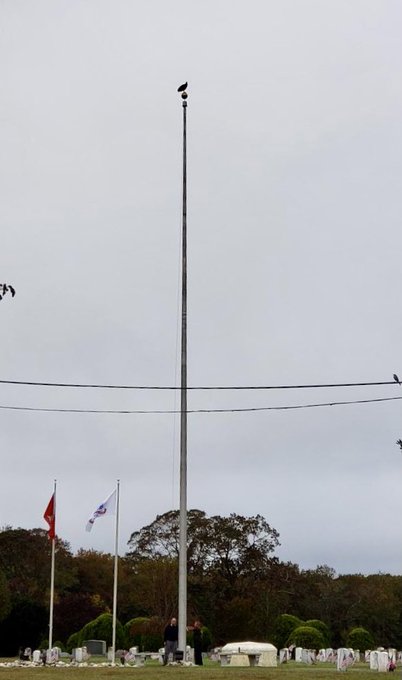 @capemaynj Turkey Vulture on top of our 70’ #Flag #Flagpole. Usually flying a 12’x18’ nylon #USFlag https://t.co/KK92Jyd625