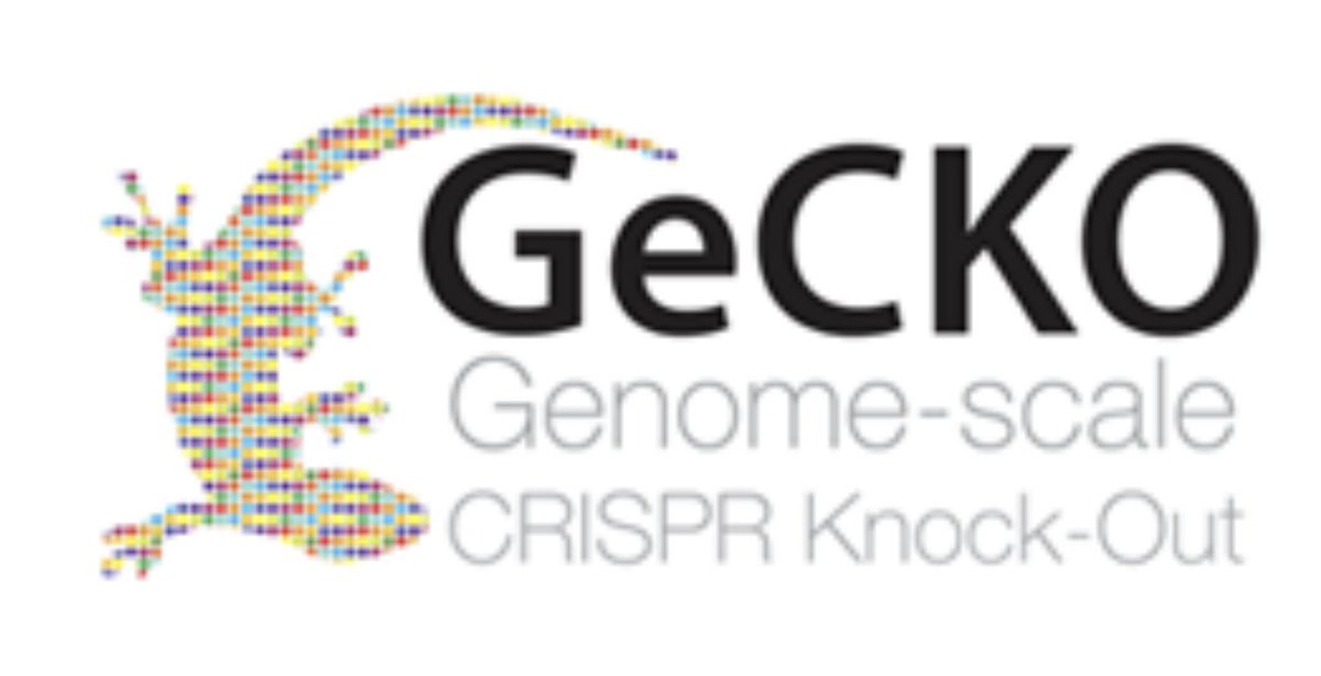 Using our GeCKOv2 genome-wide CRISPR library (co-developed back in 2013 with  @ophirshalem), we knocked out each of the ~20,000 genes in the human genome.